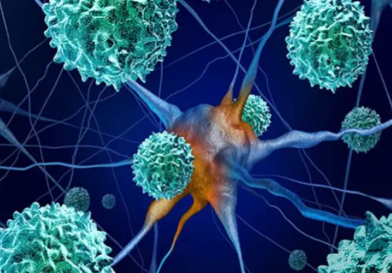 غزة: رصد متحور جديد لفيروس شلل الأطفال في عينات بيئية